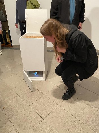 SPEKLUA Insula_odprtje_rojstvokipa Insula_odprtje_rojstvokipa.jpeg