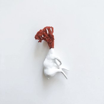Shell__2.jpg